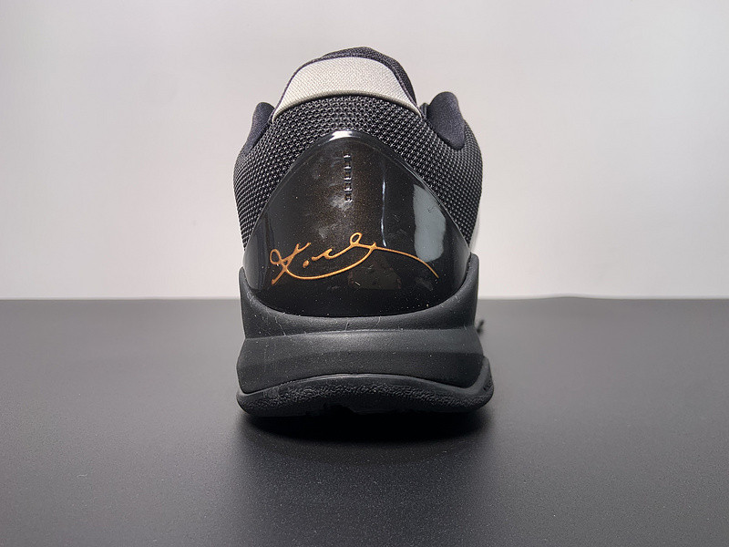nike zoom kobe v x 
